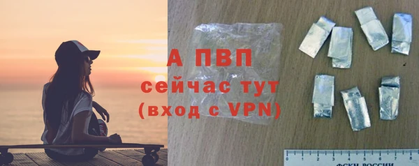 сатива Няндома