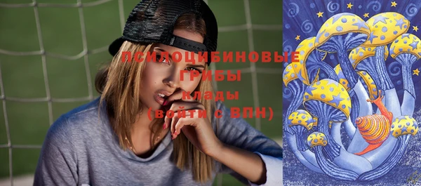 марки lsd Абаза