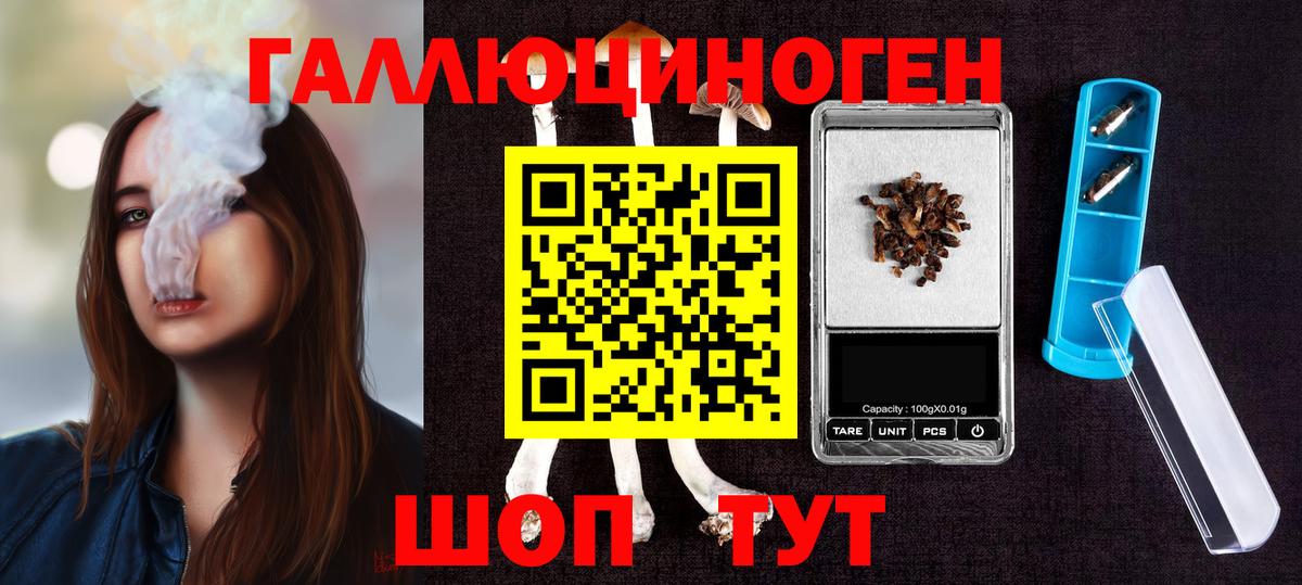 Псилоцибиновые грибы прущие грибы  Вход с VPN  Рославль 