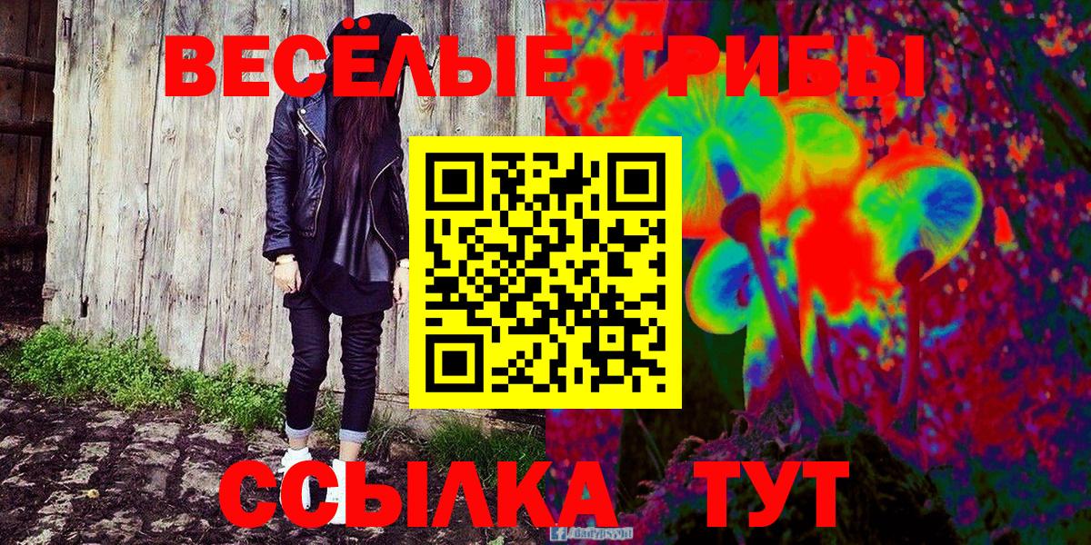 Псилоцибиновые грибы Psilocybe Рославль
