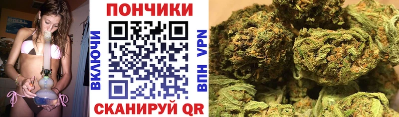 Бошки Шишки ГИДРОПОН Рославль